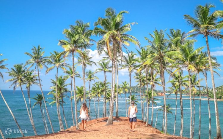 Beach Paradise Escape